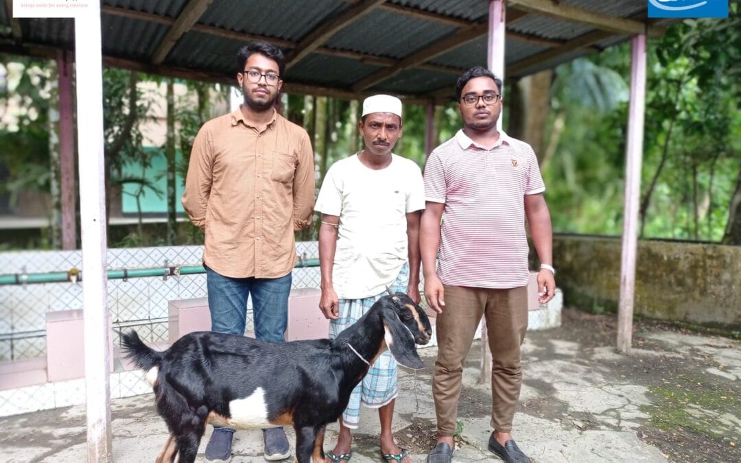 প্রজেক্ট ১৮